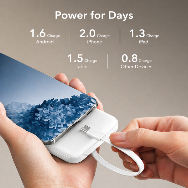 PowerVault Pro Portable Charger